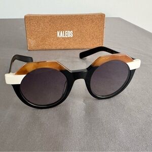 Black and Brown Sunglasses